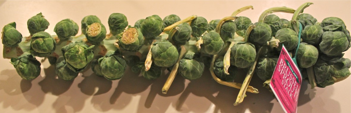 Brussel Sprouts Stalk